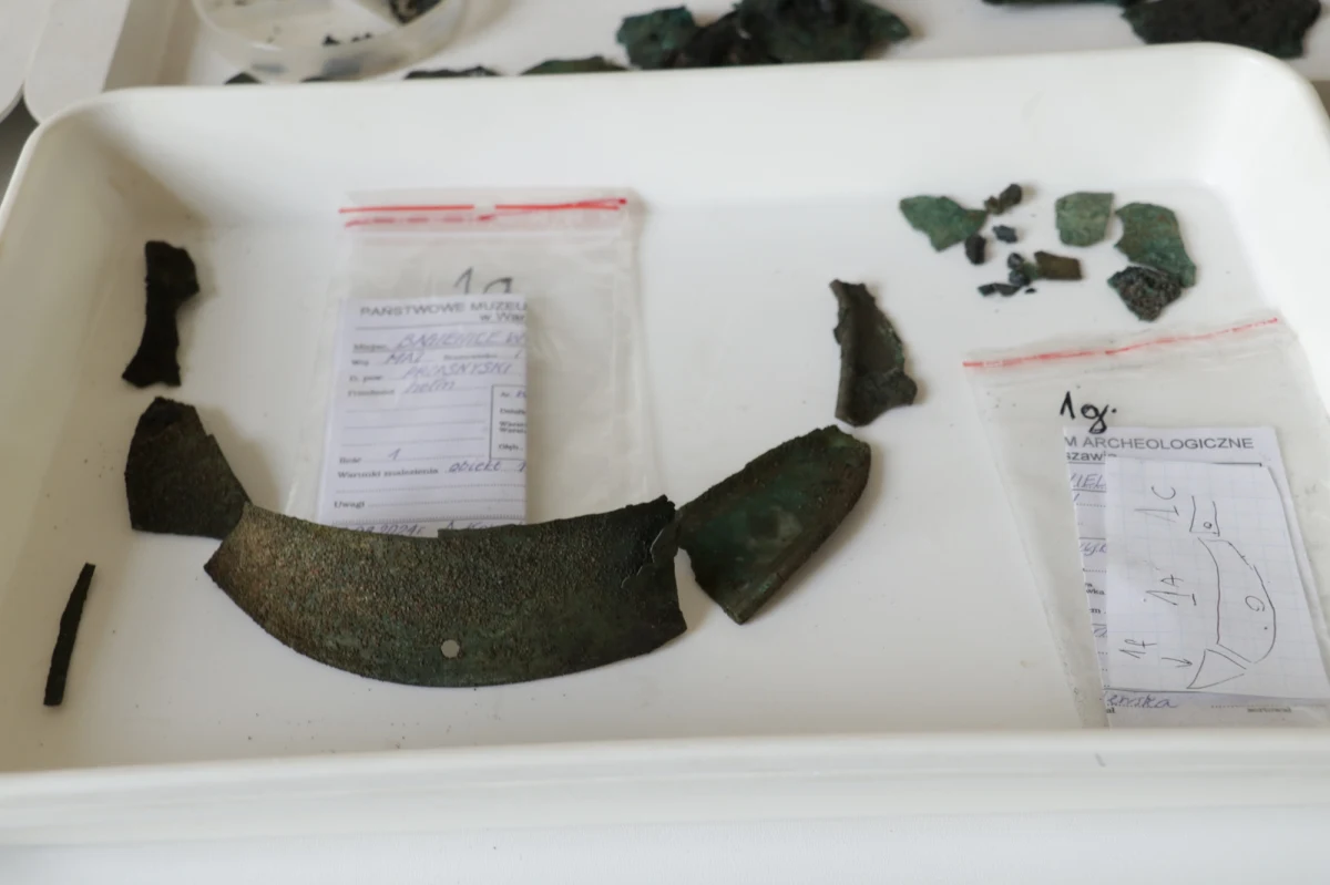 Na północnym Mazowszu znaleziono celtycki hełm sprzed 2,5 tys. lat. "To być może sensacja na skalę światową" - tak o efektach prac archeologicznych w okolicach Chorzel mówi RMF FM wicedyrektor Państwowego Muzeum Archeologicznego w Warszawie dr Wojciech Borkowski. "To pierwszy taki hełm znaleziony w Polsce, a także najstarszy hełm antyczny w naszym kraju. Na świecie jest ich może kilka" - dodaje naukowiec.