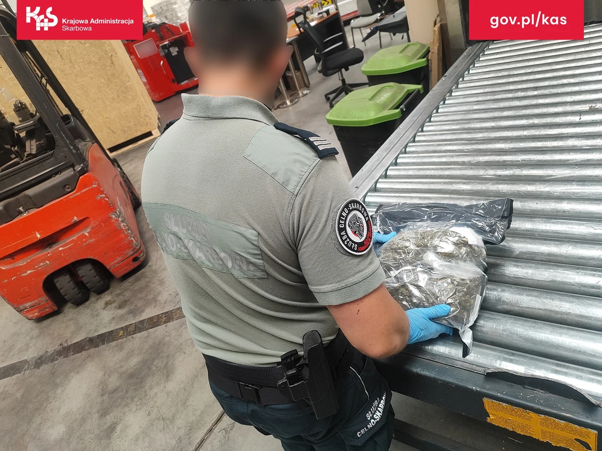 Pies służbowy Kodi pomógł celnikom w wykryciu na lotnisku Pyrzowice przesyłki zawierającej prawie kilogram marihuany. Według nadawcy w środku miała być kamizelka rowerowa w rozmiarze XL. Psi nos wyczuł jednak środki odurzające.     