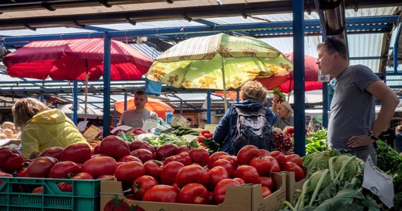 Kraków na razie wstrzymuje się ze zmianami w funkcjonowaniu miejskich placów targowych. "Nie będzie możliwości prowadzenia całodobowej sprzedaży alkoholu na miejskich placach targowych w Krakowie, czego zresztą nigdy nie było" – podkreśla prezydent Aleksander Miszalski. W stolicy Małopolski planowane jest ujednolicenie regulaminu funkcjonowania takich miejsc.