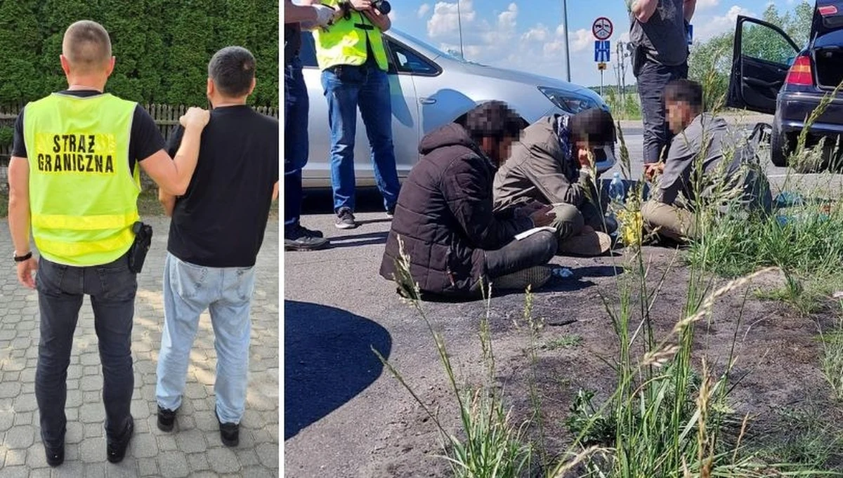 Strażnicy graniczni zatrzymali podejrzanych o udział w zorganizowanej grupie przestępczej, która zajmowała się organizowaniem nielegalnej migracji z Białorusi do Polski - podała w czwartek Prokuratura Okręgowa w Zamościu w Lubelskiem. Grozi im do 12 lat więzienia. 