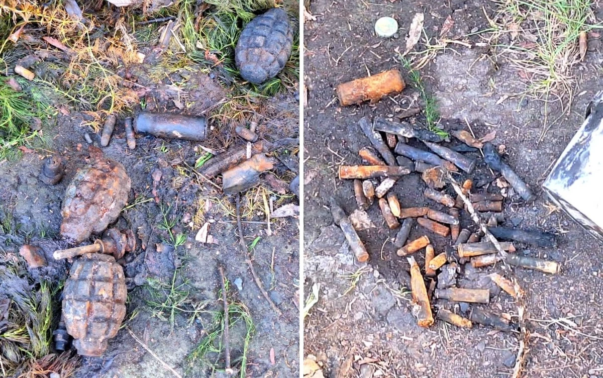 Wędkarz łowiący ryby w jednym z bytomskich stawów wyciągnął z wody reklamówkę, w której były granaty, zapalniki i pociski. Na miejsce przyjechali policjanci z pirotechnikiem. Teraz sprawdzają, kto wrzucił te przedmioty do zbiornika.