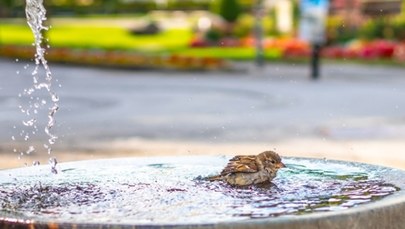 Alerty i upał. Prognoza pogody na weekend