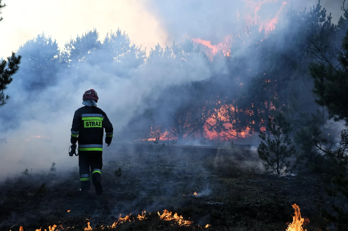Ekstremalne zagrożenie pożarowe w lasach na niemal całej powierzchni Polski - alarmuje straż pożarna. Ta sytuacja potrwa co najmniej do jutra. 