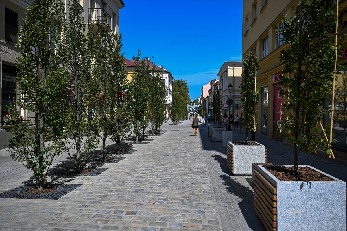 Zakończyła się trzecia, ostatnia część remontu deptaka na Grunwaldzkiej w Rzeszowie, otwarcie zaplanowano w niedzielę. Prezydent miasta Konrad Fijołek zaprasza mieszkańców do udziału. Będzie m.in. film niemy z muzyką na żywo i wystawa zdjęć.

