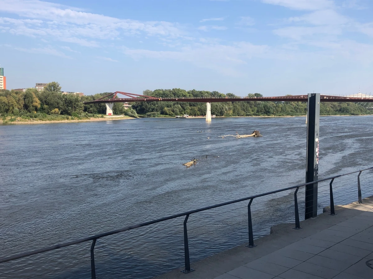 Wisła w Warszawie może osiągnąć w tym roku rekordowo niski poziom. Wody ubywa przez wysoką temperaturę. Rzekę przy warszawskich Bulwarach obserwował z bliska reporter RMF FM Michał Dobrołowicz.
