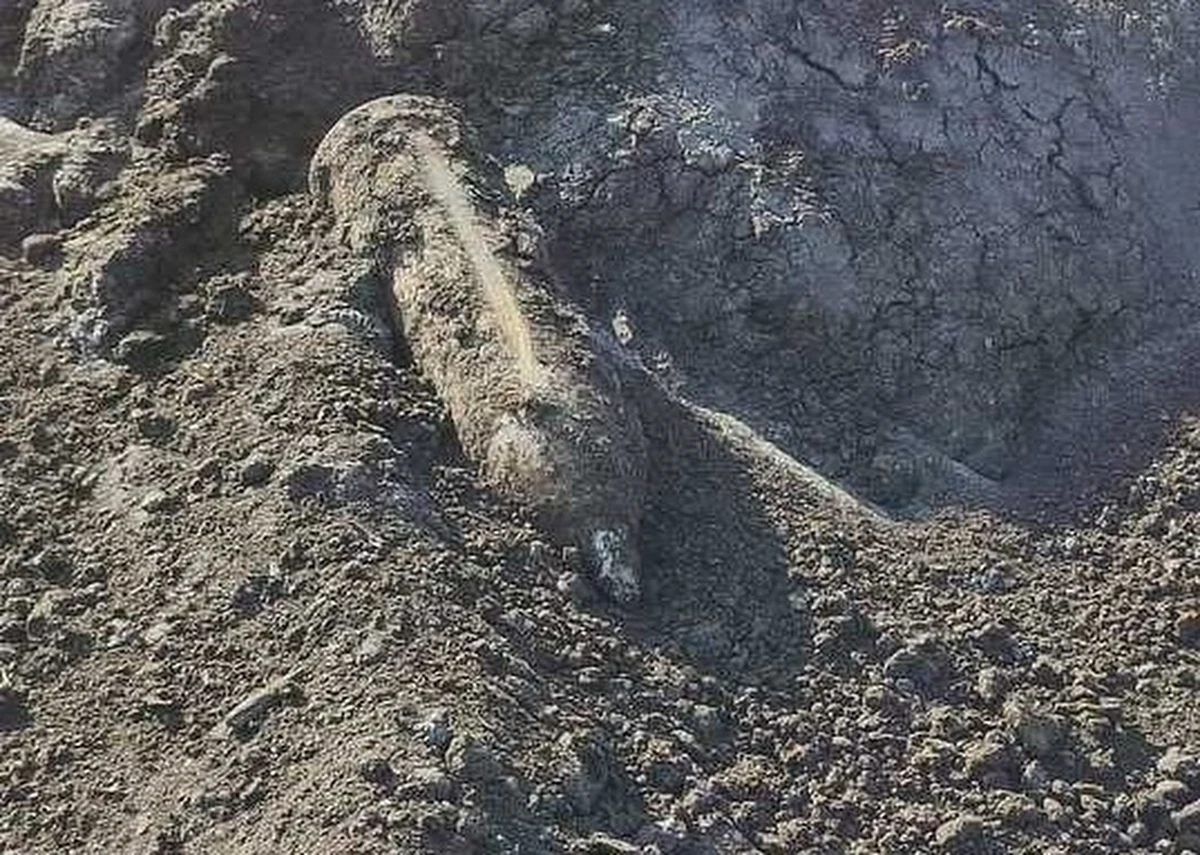 Nietypowe znalezisko podczas prac ziemnych na terenie gminy Ludwin w Lubelskiem. Kobieta w trakcie przekopywania torfu natrafiła na niewybuch. O sprawie powiadomiła policję. 