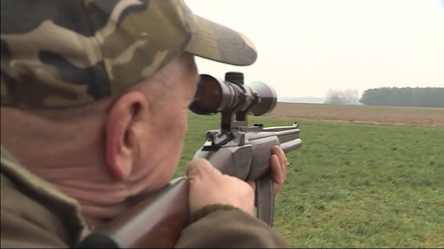 Kierowcy, żołnierze i policjanci robią badania lekarskie. Dlaczego myśliwy nie? Tym pytaniem wiceminister klimatu i środowiska rozjuszył środowisko. Mikołaj Dorożała odpowiedzi doczekał się nawet od byłego prezydenta Bronisława Komorowskiego, znanego miłośnika polowań. Już raz myśliwi zablokowali wprowadzenie obowiązkowych badań psychiatrycznych, ale pomysł jak widać wraca - Michał Kwiatkowski.