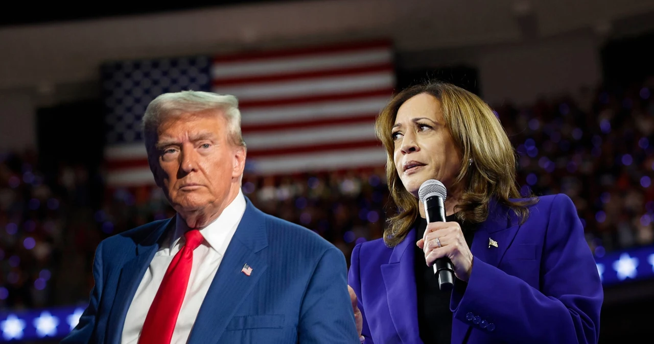 Donald Trump czy Kamala Harris? Nostradamus amerykańskiej polityki o tym, kto wygra wybory prezydenckie w USA