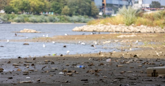 Kolejny niechlubny "rekord rekordów" niskiego poziomu Wisły w Warszawie pobity. Po upalnym weekendzie wodowskaz w stolicy pokazał tylko 21 centymetrów. Jest to jest najniższy wynik w historii pomiarów. 