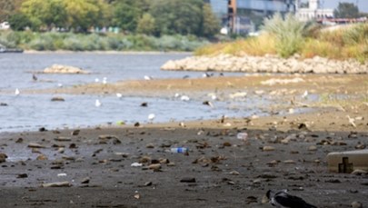 Wisła umiera na naszych oczach. Najniższy wynik w historii pomiarów