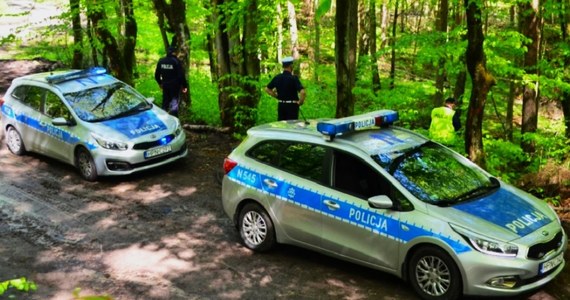 Policjanci, strażacy, przewodnicy z psami tropiącymi szukali w niedzielny wieczór w lasach pod Kościerzyną (Pomorskie) zaginionej 38-letniej kobiety i jej 9-letniej córki. Udało się je odnaleźć. Matka miała 3 promile alkoholu w organizmie.