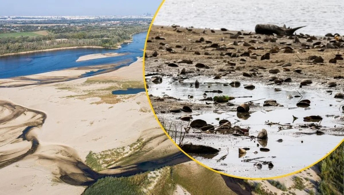 Telefony, broń, lodówki, pralki, komputery, a nawet dywan - te przedmioty jeszcze przed kilkunastoma laty wyławiano w Wisły. W poniedziałek po południu, gdy wodowskaz w stolicy pokazał tylko 21-centymetrowy poziom wody, co jest najniższym wynikiem w historii pomiarów, na dnie rzeki również ukazały się przede wszystkim śmieci. 