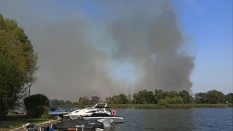 Kilka pożarów w pięć dni. Sprawą zajmą się służby