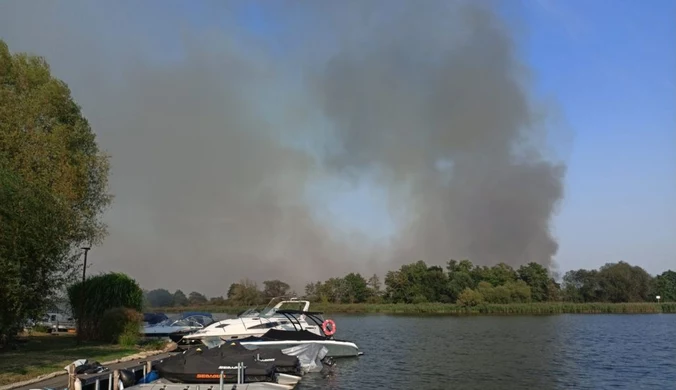 Kilka pożarów w pięć dni. Sprawą zajmą się służby