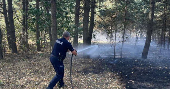 Policjant z podlaskiej miejscowości Michałowo popisał się niedawno skuteczną i, co najważniejsze, wielce potrzebną interwencją. Mężczyzna, patrolując okolice zalewu Siemianówka, zauważył, że w pobliżu zabudowań płonie las. Jeszcze przed przyjazdem strażaków ewakuował 6 osób i wyniósł z zagrożonej posesji dwie butle z gazem.