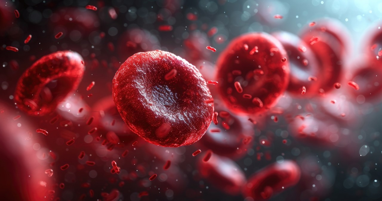 Zagadka rozwiązana! Jest nowa grupa krwi. Ma ją tylko jedna osoba?