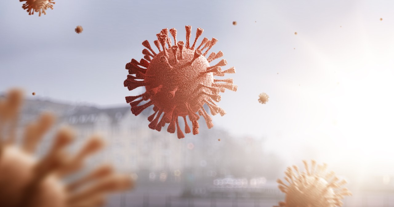 Mikroplastik w powietrzu sprzyja rozprzestrzenianiu wirusów