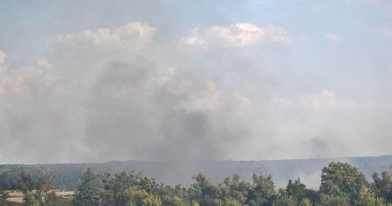 Agencja Bezpieczeństwa Wewnętrznego została powiadomiona o serii pożarów na jednej z wysp Międzyodrza pod Szczecinem - poinformowała Komenda Powiatowa PSP w Policach. W ubiegłym tygodniu cztery razy paliły się tam trzcinowiska. Strażacy podejrzewają podpalenie.

