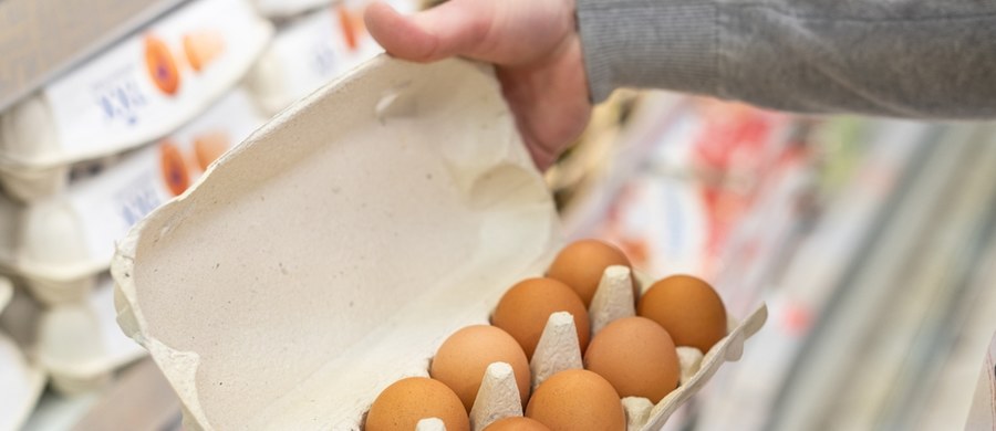 Główny Inspektorat Sanitarny wydał ostrzeżenie dotyczące zanieczyszczenia pałeczkami Salmonelli partii jaj z chowu klatkowego. Sprawdź, czy nie masz ich w domu!