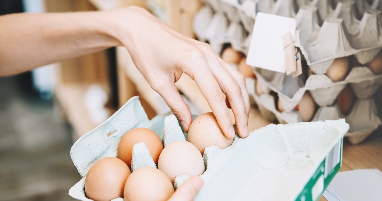  GIS ostrzega przed salmonellą. Nakazano wycofanie produktu