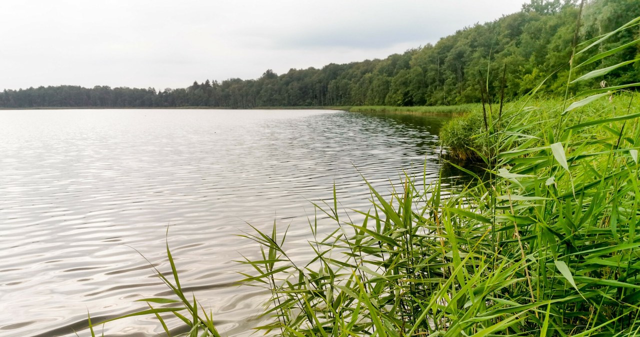 Ministerstwo, Infrastruktury, możliwości, działania, sprawie, wątpliwej, sprzedaży, jeziora, Stacinko, Duże, które, spór, trwa,  Spór prawny o sprzedaż jeziora. Resort infrastruktury: Nie mamy możliwości działania