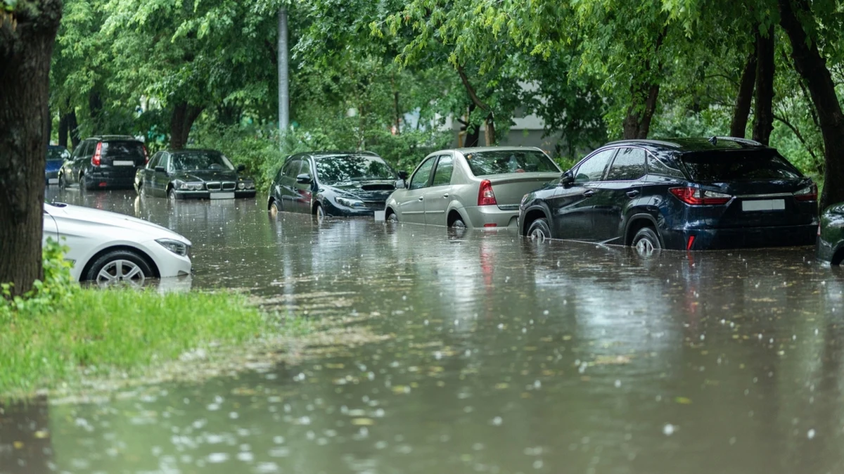 Wrocław przygotowuje się do nadejścia wielkiej wody. Prognozy są wybitnie niekorzystne - Instytut Meteorologii i Gospodarki Wodnej podał, że od czwartku do niedzieli m.in. w województwie dolnośląskim spadnie do 150 litrów wody na metr kwadratowy, a lokalnie nawet więcej. Z tego powodu w stolicy Dolnego Śląska powołano sztab kryzysowy, odwołano wszystkie imprezy miejskie oraz rozpoczęto opróżnianie zbiorników retencyjnych i kolektorów burzowych.