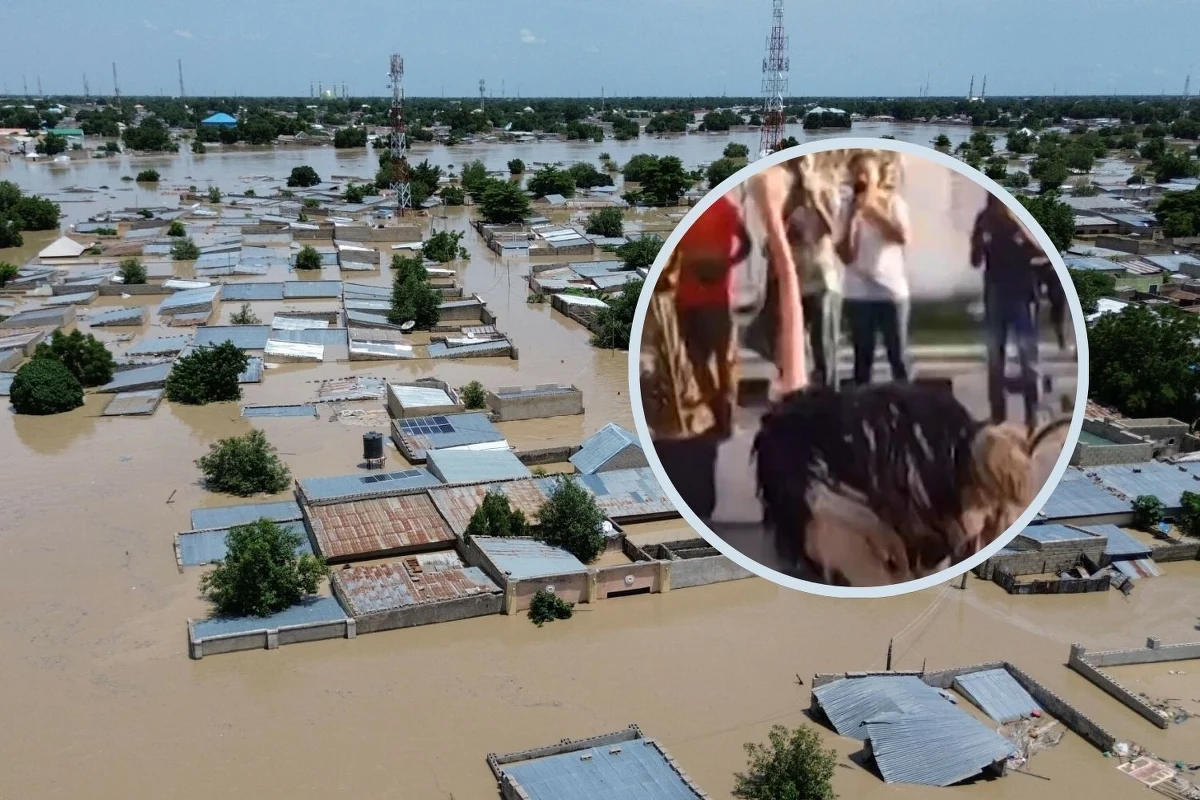 Nigeryjskie zoo znalazło się pod wodą. W wyniku powodzi zginęło tam ponad 80 proc. dzikiej przyrody, a woda porwała zwierzęta, w tym krokodyle i węże. "Będą stanowić zagrożenie dla ludzi" - powiedział rzecznik nigeryjskiej agencji zarządzania kryzysowego, Manzo Ezekiel.