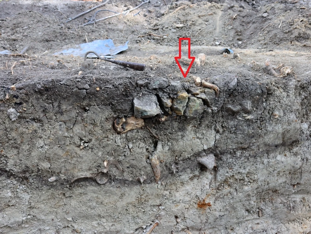 Podczas prac remontowych przy ogrodzeniu na historycznej Górze Chełmskiej w Chełmie na Lubelszczyźnie archeolodzy natrafili na sensacyjne znalezisko. Odkryto dwa dziecięce pochówki szkieletowe, które datowane są na XIII wiek. Jedno z nich szczególnie zwróciło uwagę badaczy ze względu na swoje nietypowe cechy, sugerujące, że mógł to być pochówek antywampiryczny.