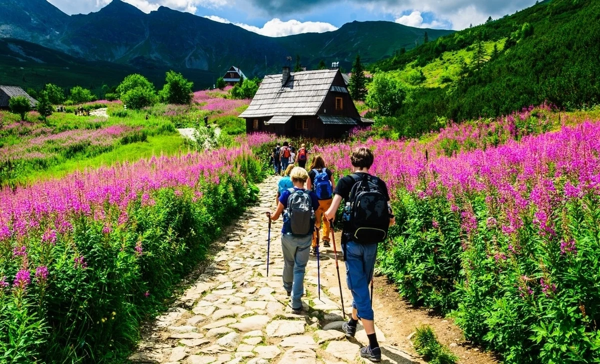 Tak dużo turystów jeszcze nie odwiedzało Tatrzańskiego Parku Narodowego. Od początku roku na tatrzańskie szlaki weszło ponad 3,6 mln. osób. Tylko w sierpniu był to niemal milion. Jeśli ta tendencja się utrzyma do końca roku, to po raz pierwszy w historii liczba odwiedzających polskie Tatry może przekroczyć pięć milionów.  