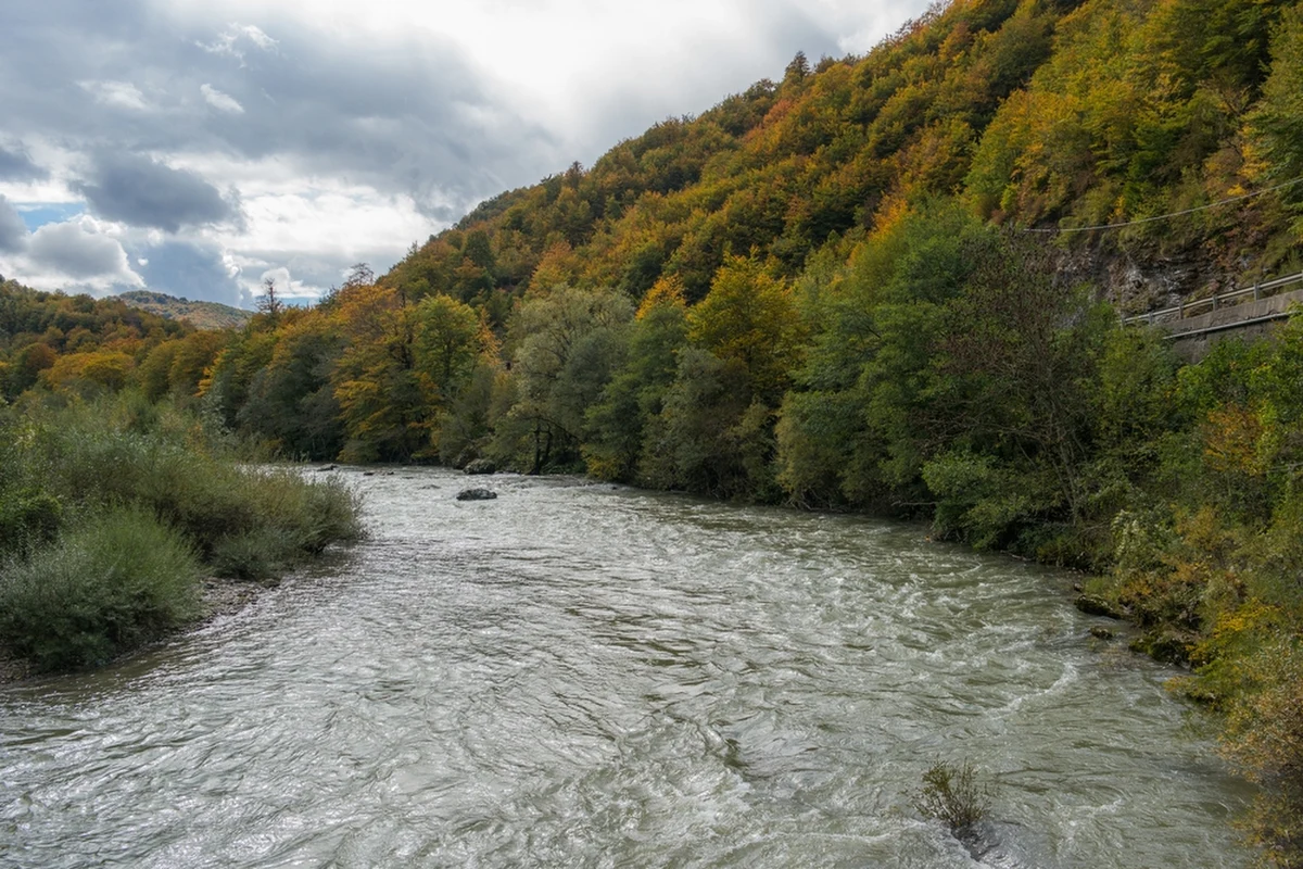"Uwaga! W nocy i jutro (13/14 września) intensywne, nawalne opady deszczu. Możliwe podtopienia. Nie zbliżaj się do wezbranych rzek" - przestrzegło w piątek Rządowe Centrum Bezpieczeństwa w alercie wydanym dla 11 województw. Nowe ostrzeżenia wydał również Instytut Meteorologii i Gospodarki Wodnej.