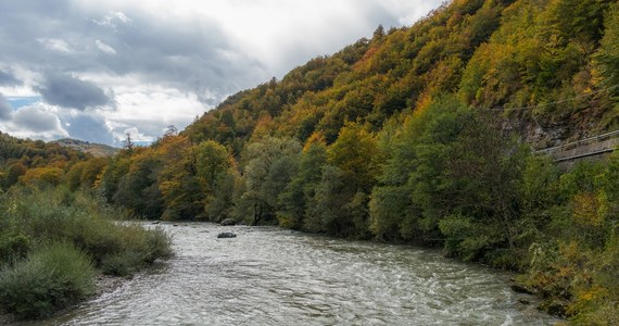 "Uwaga! W nocy i jutro (13/14 września) intensywne, nawalne opady deszczu. Możliwe podtopienia. Nie zbliżaj się do wezbranych rzek" - przestrzegło w piątek Rządowe Centrum Bezpieczeństwa w alercie wydanym dla 11 województw. Nowe ostrzeżenia wydał również Instytut Meteorologii i Gospodarki Wodnej.