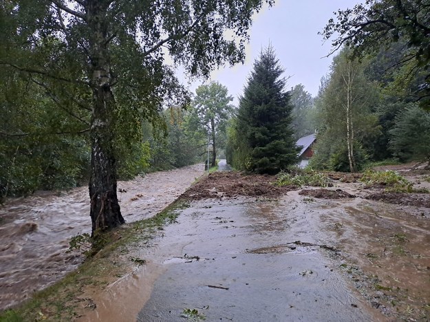 /Czeska policja /Policja