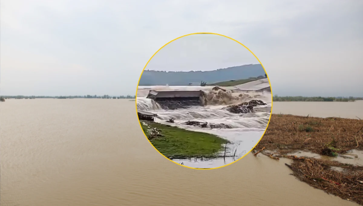 Zarządzona została ewakuacja części Paczkowa - powiedział na antenie internetowego Radia RMF24 starosta nyski Daniel Palimąka. Ma to związek ze zniszczeniem przepustu między zbiornikami Topola i Kozielno na Dolnym Śląsku. Po godz. 16 kulminacyjna fala przeszła przez Paczków i minęło pierwsze niebezpieczeństwo. Nie oznacza to jednak, że jest całkowicie bezpiecznie. 