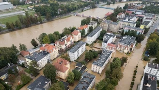 "Plotki, które nie powinny mieć miejsca". W Nysie wrze, władze mówią: dość