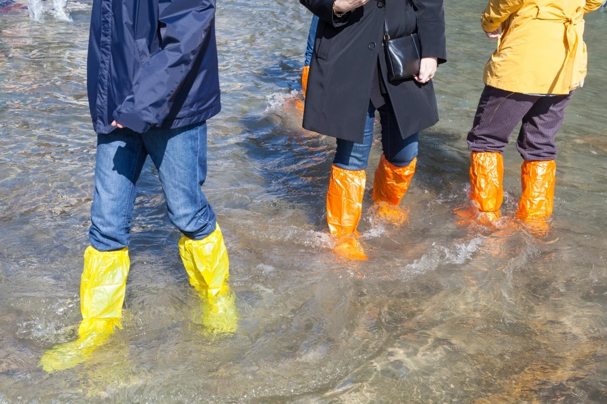 "Na 76 stacjach hydrologicznych utrzymuje się stan alarmowy, a stan ostrzegawczy - na 40" - poinformował we wtorek rano Instytut Meteorologii i Gospodarki Wodnej. W poniedziałek rząd wprowadził stan klęski żywiołowej dla części województw dolnośląskiego, opolskiego oraz śląskiego, które są objęte powodzią.