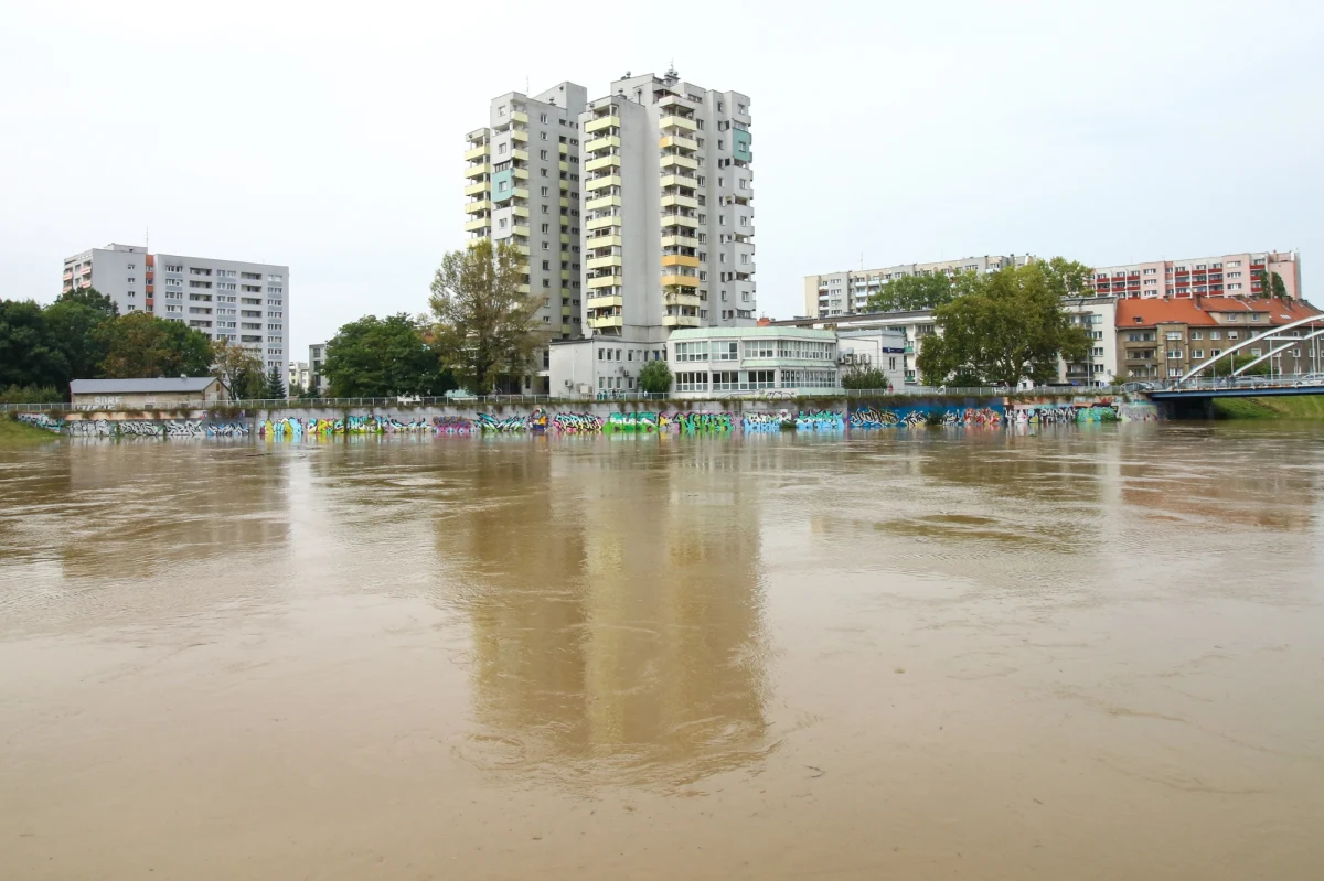 Dziś w Opolu spodziewana jest powodziowa fala kulminacyjna na Odrze. Mieszkańcy obawiają się powtórki z 1997 roku, natomiast władze uspokajają - powódź nam nie grozi.