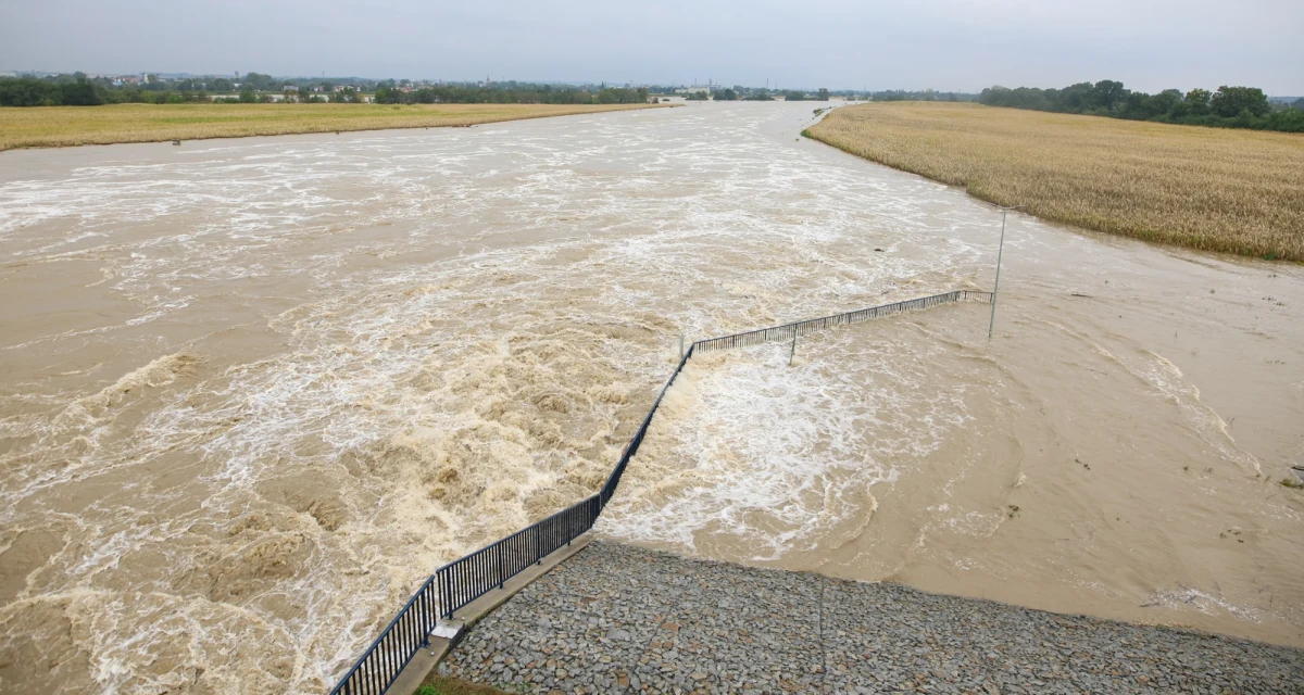 ​Niepokojące doniesienia napłynęły z Raciborza, gdzie w nocy z poniedziałku na wtorek doszło do przesiąku zbiornika retencyjnego, który ma uchronić przed zalaniem między innymi Opole i Wrocław. Prezes Wód Polskich Joanna Kopczyńska zapewniła podczas posiedzenia sztabu kryzysowego, że służby uporały się z tym problemem.
