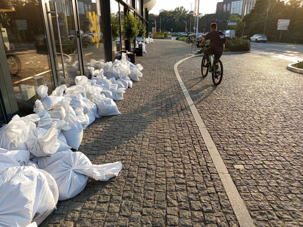 Taki widok jest z godziny na godzinę coraz częstszy we Wrocławiu