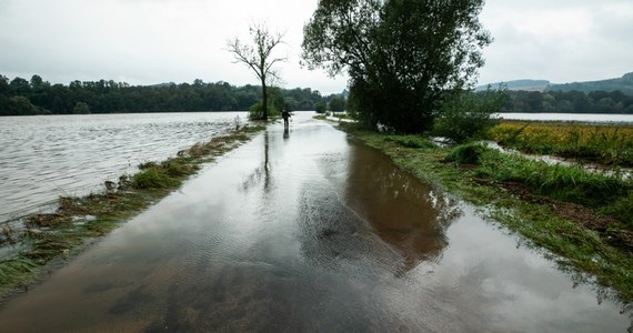 Fala kulminacyjna na rzece Bóbr przechodzi przez Nowogród Bobrzański. "Jest wypłaszczona i z tego powodu ma kilkanaście kilometrów. Przejście fali zajmie kilka godzin" – powiedział w środę późnym popołudniem mł. bryg Arkadiusz Kaniak, rzecznik lubuskiej straży pożarnej. W czwartek rano IMiGW podał, że stan wody na Bobrze się stabilizuje. 
Przez miasto przechodzi fala kulminacyjna. Około godziny 11 powinna dotrzeć do Odry.