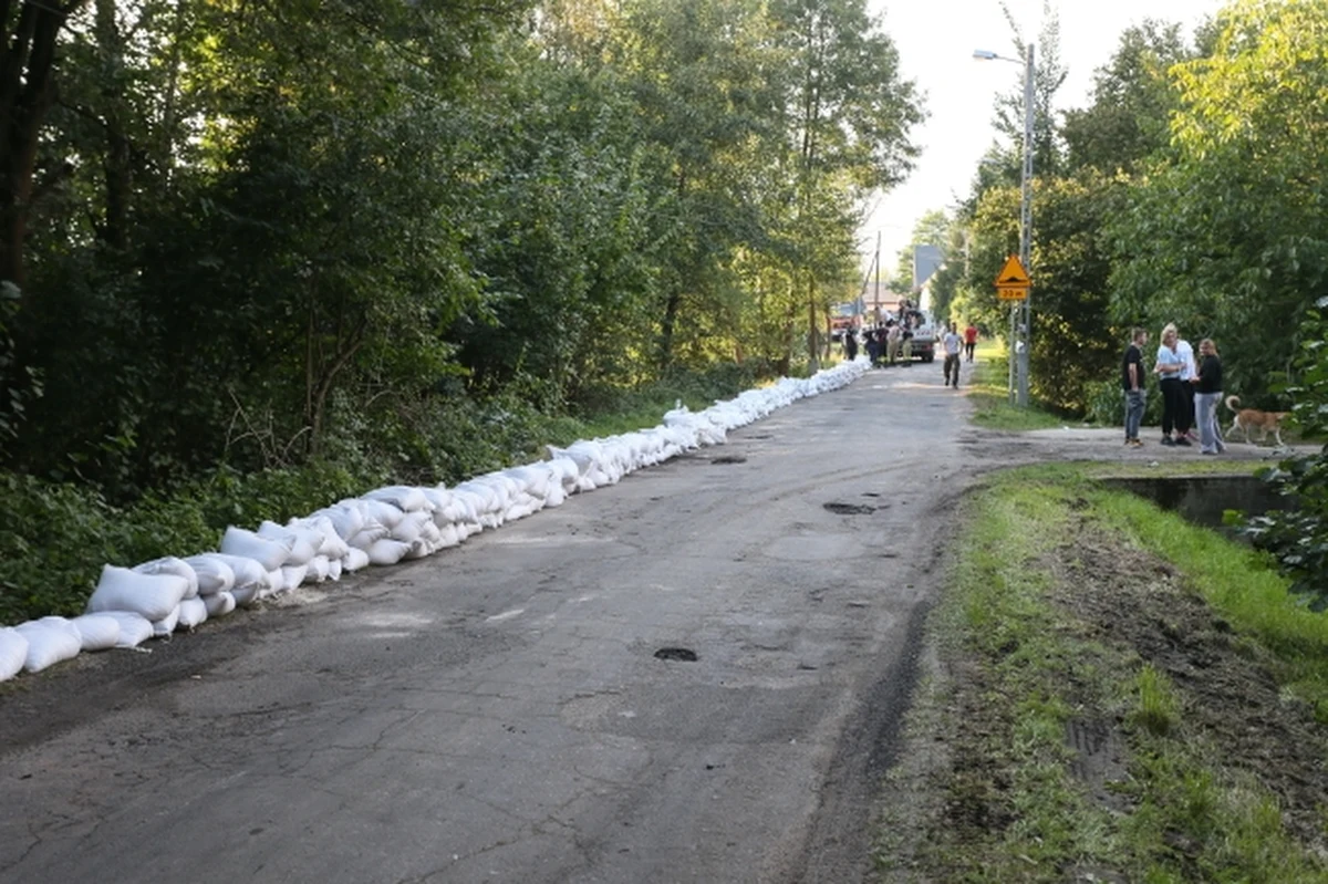 "Ze względów bezpieczeństwa odradzamy wchodzenie do lasów na terenach, gdzie przeszła fala powodziowa" - poinformowała rzeczniczka Lasów Państwowych Anna Choszcz-Sendrowska. Na razie zakazem wstępu objęte są trzy nadleśnictwa - Jugów, Kamienna Góra i Tułowice.