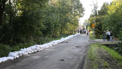 Powódź w Polsce. Są zakazy wchodzenia do lasów