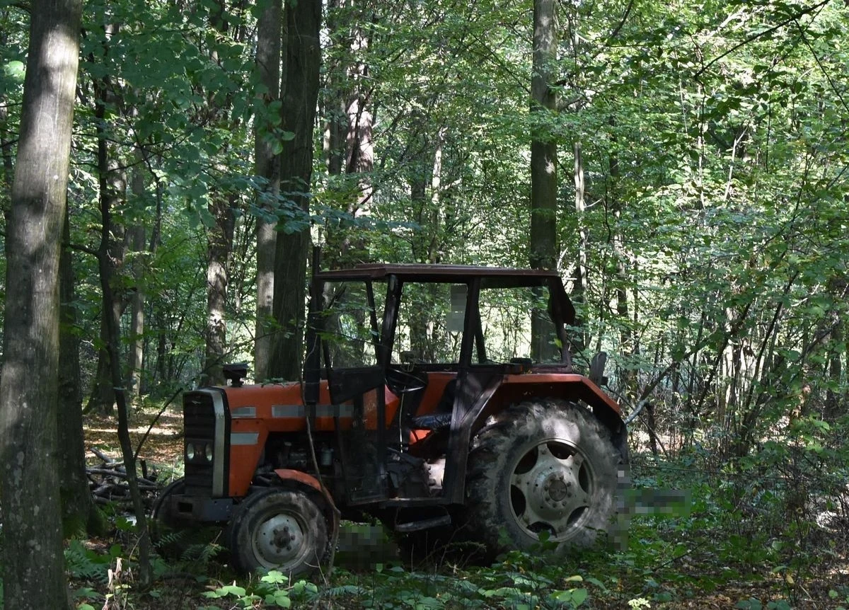 82-latek zginął podczas wycinki drzew w lesie w powiecie biłgorajskim na Lubelszczyźnie. Mężczyznę uderzył spadający konar.