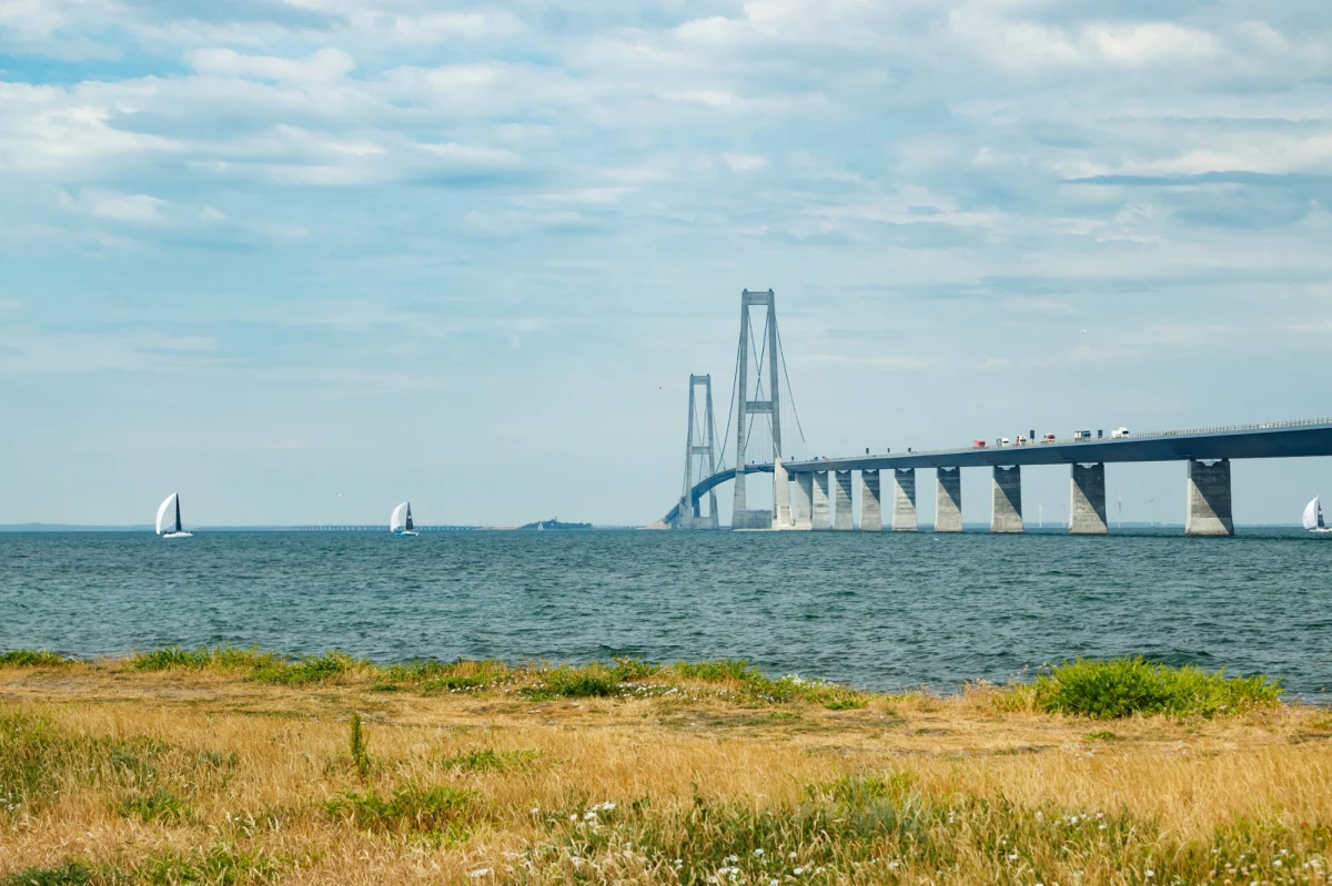 Powiązany z Rosją uszkodzony statek towarowy Ruby, przewożący 20 tys. ton saletry amonowej, tego samego środka który wybuchł w porcie w Bejrucie w 2020 roku, w weekend wpłynie na Bałtyk - informują duńska gazeta "Information" oraz kolektyw śledczy Danwatch.