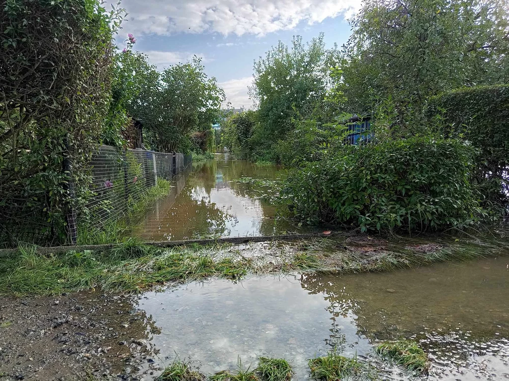 Dopiero, gdy woda zejdzie z ogródków, działkowicze przekonają się, jakie straty są na ich terenie