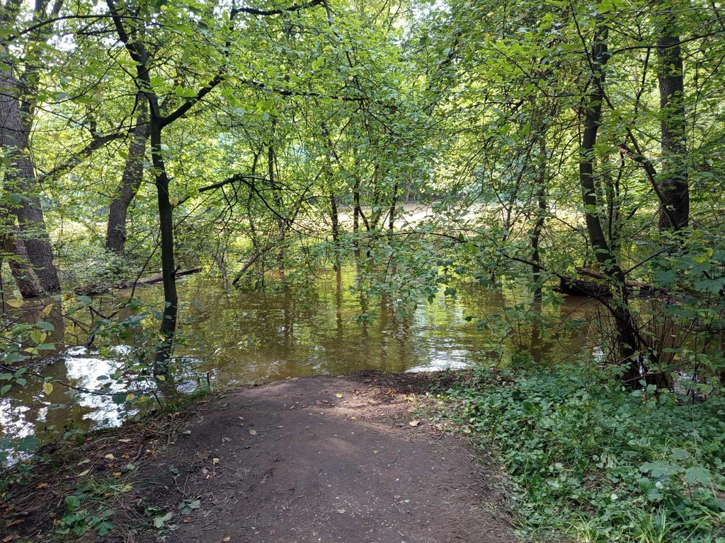 Bystrzyca nadal jest wysoka. Woda podpływa niemal pod Park Stabłowicki