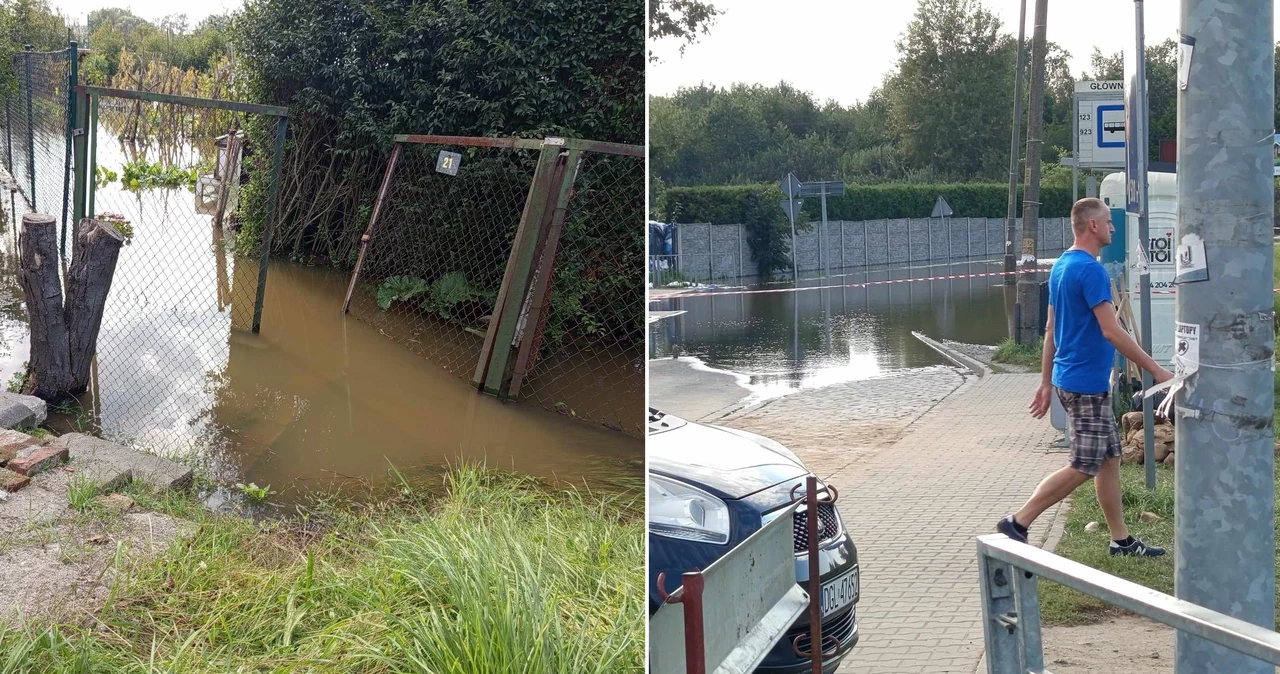 Wrocławskie osiedle Stabłowice wciąż zmaga się z wielką wodą. Poszkodowani są i mieszkańcy, i działkowcy