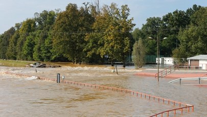 IMGW: Fala kulminacyjna na Odrze w Brzegu Dolnym [RELACJA NA ŻYWO]