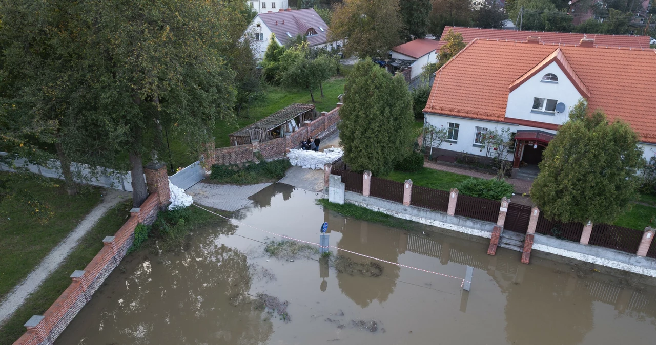 Wielka woda 2024. Brzeg Dolny walczy z kulminacyjną falą powodzi