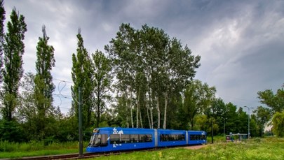 Skok na miedź. Ukradli kable trakcji, nie kursowały tramwaje