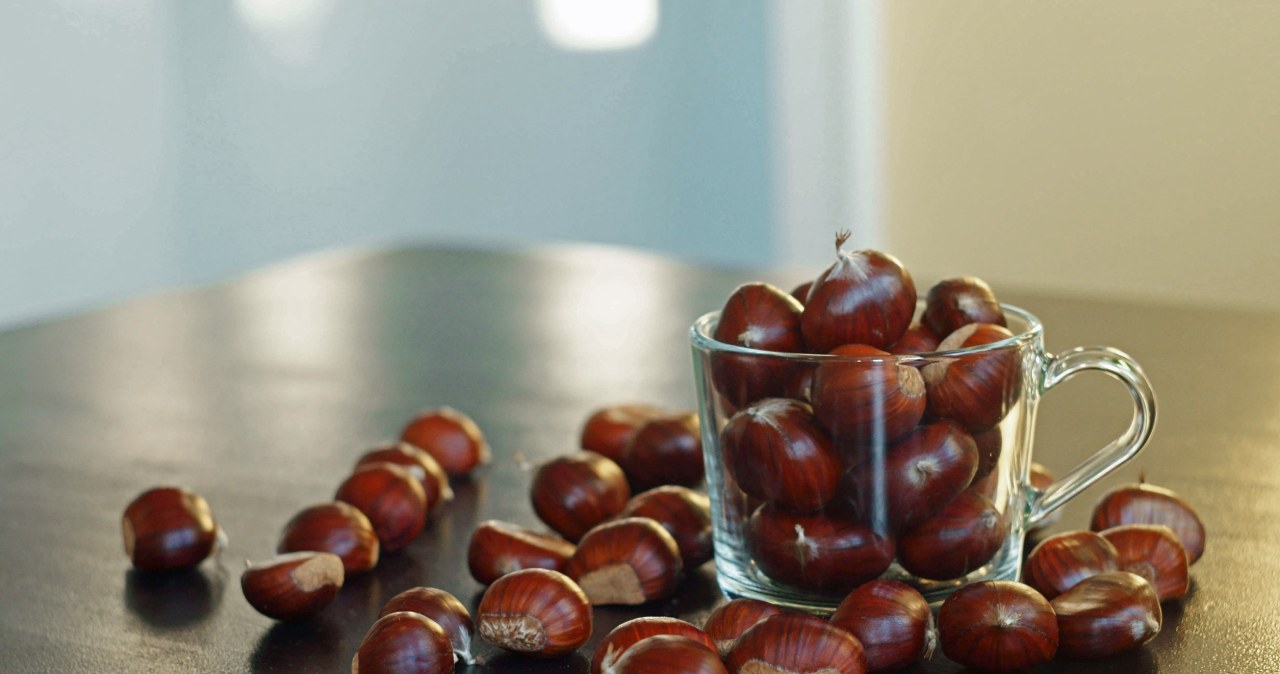 Zamiast drogich kremów sięgnij po kasztany. Naturalny sposób na piękne nogi